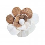 Belo-rjav cvet iz shole - 10 kom